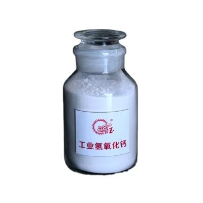 China Ca(OH)2â‰¥95% New Design Professional Water Treatment Industrial Grade Calcium Hydroxide For Plant Powder for sale