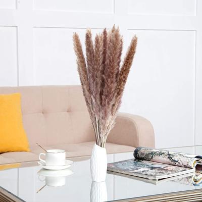 China Tall Designs Pampas Grass Gray Natural Dried Large For Home Party Wedding Table Decor for sale