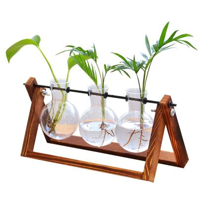 China Hanging Glass Designs L-Wall Planter Spread Station, Modern Large Flower Bud Vase in Wooden Stand Holder, Mini Tabletop Greenhouse for sale