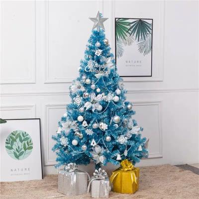 China Designs Wholesale Blue Christmas Snowflake Outdoor Gift Products Giant Lighted PVC Cone Led Mini Artificial Christmas Tree for sale