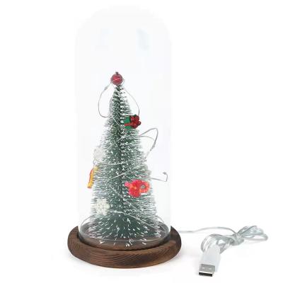 China Designs l Glass Cover LED Artificial Transparent Christmas Plant Lights Gift Colorful Resin Decoration Ornaments for sale