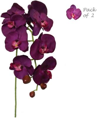 China Nearly Natural Artificial Purple Orchid Phalaenopsis Silk Arrangements For Party Home Decor C019 for sale