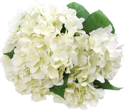 China Artificial Cream Color Hydrangea Flowers 18