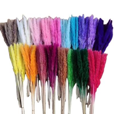 China L-Wholesale Cheap Beautiful Colorful Home Dried Flower Decorative Real Dried Flowers Dried Pampas Grass for sale