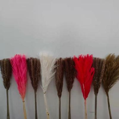 China L-016 beautiful colorful stipe dried flowers, natural pampas grass total length about 60cm for sale