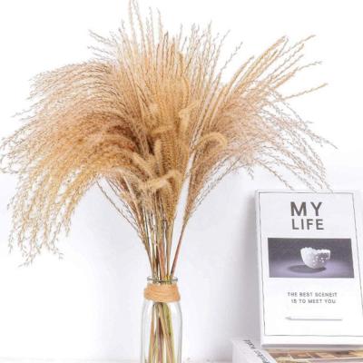 China Tall Designs Large Artificial Pampas Grass Dry Flower Arrangement For Home Decor 60cm Outdoor Party for sale