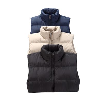 China Multicolor Anti-wrinkle Polyester Customized Down Vest Men's Winter Thin Vest Jacket Spring and Autumn Men's Vest for sale