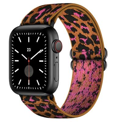 China Fashion. The Latest Sports Polyester Color Sliver Watch Band Stainless Steel Buckle Leopard Apple Watch Band for sale