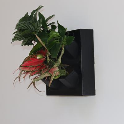 China Modern Living Wall Picture Frame Wall Planter Vertical Green Wal Pot Automatic Drip Irrigation System for sale