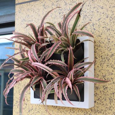 China Modern Product Garden Flower Stand Outdoor Wall Mounted Plastic Self Watering Flower Pot for sale