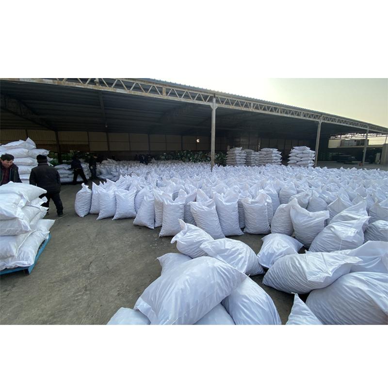 Verified China supplier - Xinjiang Salam Trade Co., Ltd.