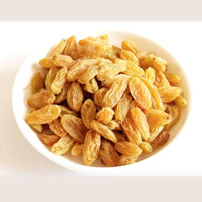 China China Wholesale Best Price Dried Yellow Sun Raisins Yellow Sun Raisins Dried Natural Fruit Raisins for sale