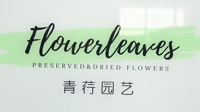 Verified China supplier - Kunming Flowerleaves Horticulture Co., Ltd.