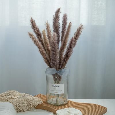 China Mini Pampas Grass Reed Dried Pampas Grass Green Warm Decor Small Pampas Grass for sale