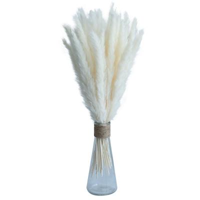 China Wholesale Best Quality Dry Pampas Grass Home Decor Flower Arrangement Home Wedding Decorations Pampas Grass Home Decor for sale