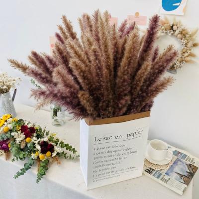 China Decorative Grass Flowers Natural Dry Pampas Grass For Christmas 40-60cm for sale