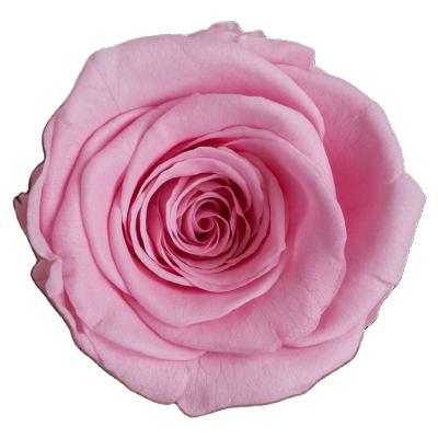 China Vlentines Daily Factory Supply Premium Preserved Flowers 5-6cm Natural Roses Buds Lasting Everlasting Flower Preserved Roses for sale