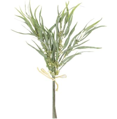 China Home Decoration Graduation Gift Natural Flowers Preserved Weeping Willow Seeded Ucalyptus for sale