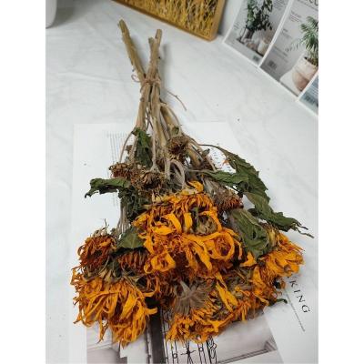 China Decorative Dried Flower Decoration Sunflower For Home Decors Christmas Natural Flowers for sale