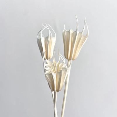 China Decorative flowers 50-80cm white decorative flower decorative flowers for sale