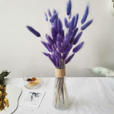 China wholesale flower plant drier to weed flower lagurus dried flower for sale