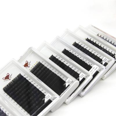 China Natural Plus Size Volume Lash EYEFOX Good Quality Private Label Lashes Different Soft Flat Lashes for sale