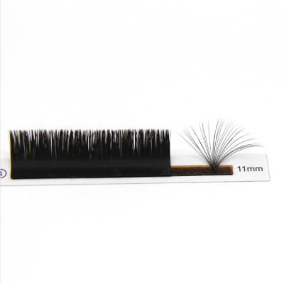 China Lash Easy To Fan Classic Natural Soft Lash False Eyelashes Natural Premium Synthetic Individual Eyelash for sale