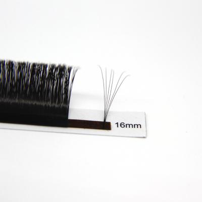 China Lash Brand Russian Premade Loose Luxury Lash Korean PBT Lash Extensions Tray Fast Fanning Easy Highlights for sale