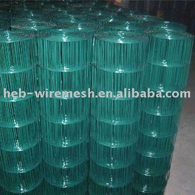 China Welded Fence Mesh Stainless Steel Wire Mesh for sale