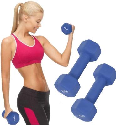 China High Quality Customized Durable Hot Selling Neoprene Home Gym Hex Steel Dumbbells for sale