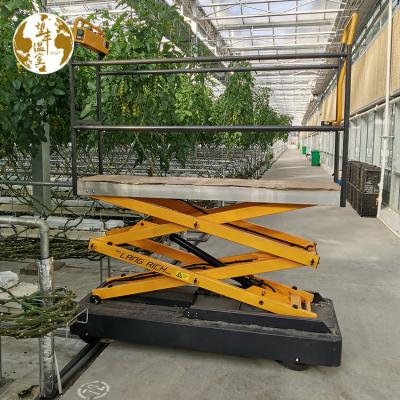 China 3m Electric Hydraulic 4m Greenhouse Forklift Production Mobile Hydraulic Greenhouse Picking Mobile Fruit and Vegetable Trolley for sale