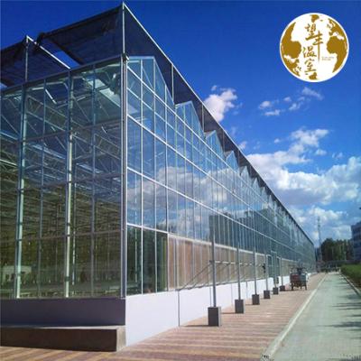 China ECO FRIENDLY Commercial Polycarbonate Sheet Greenhouse Kits Rolling Bench Growing Tables For Plants for sale