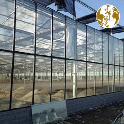 China ECO FRIENDLY Agricultural Greenhouses Garden China Winter Greenhouse Solar Glass Kits for sale