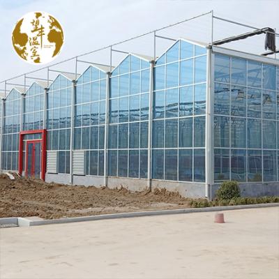 China ECO FRIENDLY Glass Greenhouse With Hydroponic System With Equipment For Plant Agriculture / Vegetables Fruits Flowers for sale