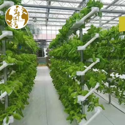 China High Quality Strawberry Light Indoor Vertical Hydroponic Plant Small Home Growing Systems For Sale for sale