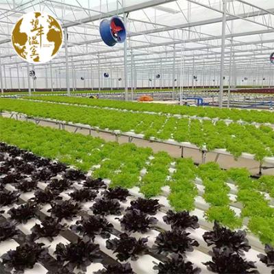 China High Quality Strawberry Planting Farm Vertical Zipper Grow Tower PVC Gutter Nft Hydroponics Gutter With Water Pump Reservoir for sale