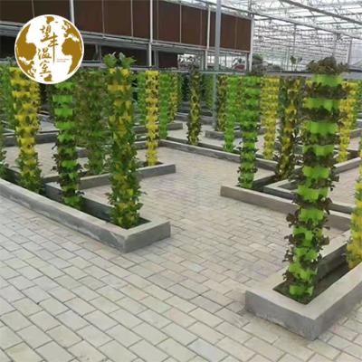 China High Quality Strawberry Planting Vertical A View PVC NFT Channel Hydroponic Growing System Lettuce NFT Grow Kit Hydroponics For Commercial Greenhouse for sale