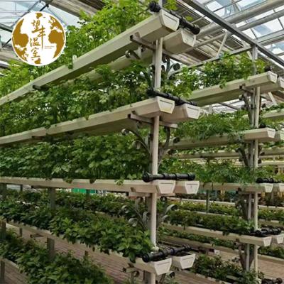 China High Quality Strawberry Planting GRO-DRO Irrigation Zip Grow Vertical Control Greenhouse Automated nft Hydroponic System for sale