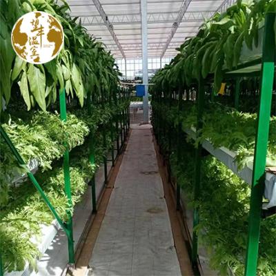 China High Quality Strawberry Planting Channel Tray Wholesale nft Spinach Box Hydroponic Growing Systems for sale