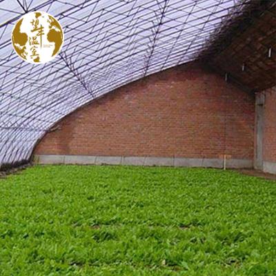 China Easily Assembled And Economical Solar Greenhouse With Back Wall For Cold Weather For Vegetable Growing for sale