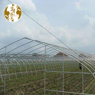 China Easily Assembled And Economical Commercial Plastic Sheet Tunnel Greenhouse Galvanized Transparent Agriculture Greenhouse Tunnel Garden Greenhouse for sale