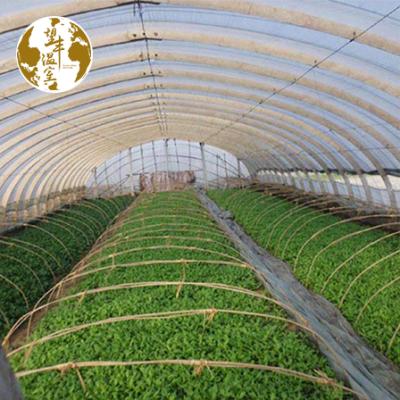 China Easily Assembled And Economical Plastic Shed Type Greenhouse Protection Greenhouse UV Plastic Arch Sheet for sale