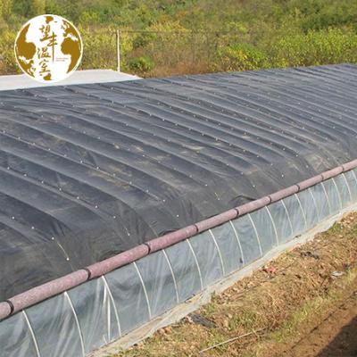 China Not easy to rust hot galvanized steel pipe single span tunnel hot passive solar power greenhouse with comforter for cold area for sale