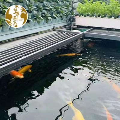 China Agriculture Planting Aquaponics Fish Farming Growing Tanks Greenhouse Hydroponics Aquaponics System Aquarium For Fish And Vegetable for sale