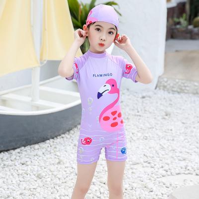 China Swimwear Girls Plus Size GUARD Set Sun Protection Set Summer Beach RASH Swimming Pool Clothes Children Swimwear Kids Swimwear for sale