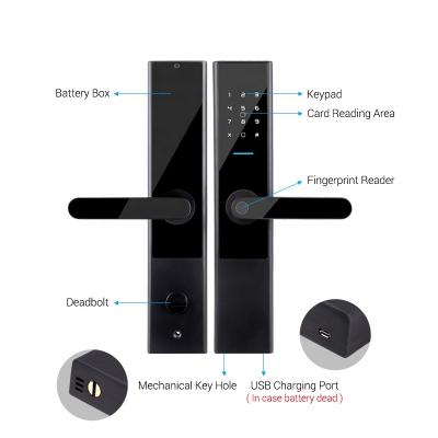 China House Locks Steel Smart Doors APP Control Security Latch Cerradura Inteligente Lock For Wooden Door for sale