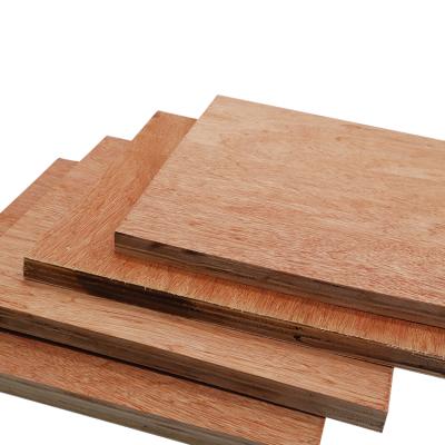 China Traditional Cheap Commercial Plywood Birch Plywood zu verkaufen