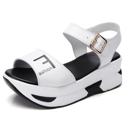 China Fashion Trend Ladies Summer Shoes Women 60mm High Heel Wedge High Heels Sandals Luxury Platform Shoes for sale