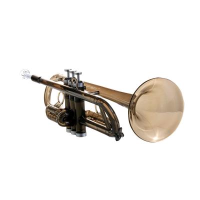 China Educational Hot Selling Trumpet Plastic Musical Instrument Crystal Clear Color Practice Trumpet For Professional Students With Carrying Case for sale