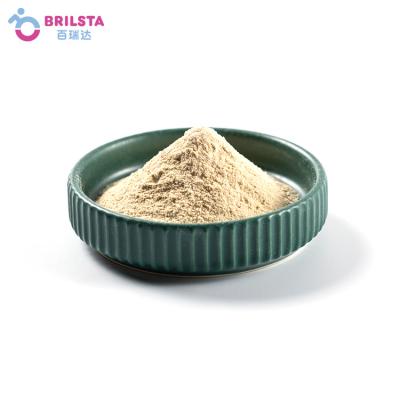 China Hot Selling Brilsta Banana Apple Watermelon Instant Juice Flavored Green Flour Tea Based Drinks Premix Powder for sale